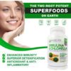 Spirulina and Chlorella | Organic Chlorophyll Vegan Protein - Image 3