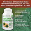 Spirulina and Chlorella | Organic Chlorophyll Vegan Protein - Image 2